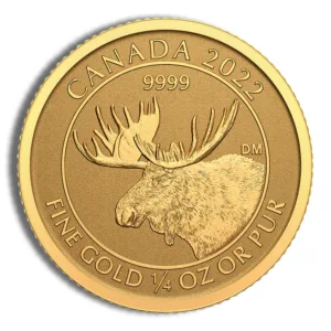 Golden Canadian coin featuring a detailed moose design, minted in 2022, made of 99.99% fine gold, weighing 1/4 ounce.