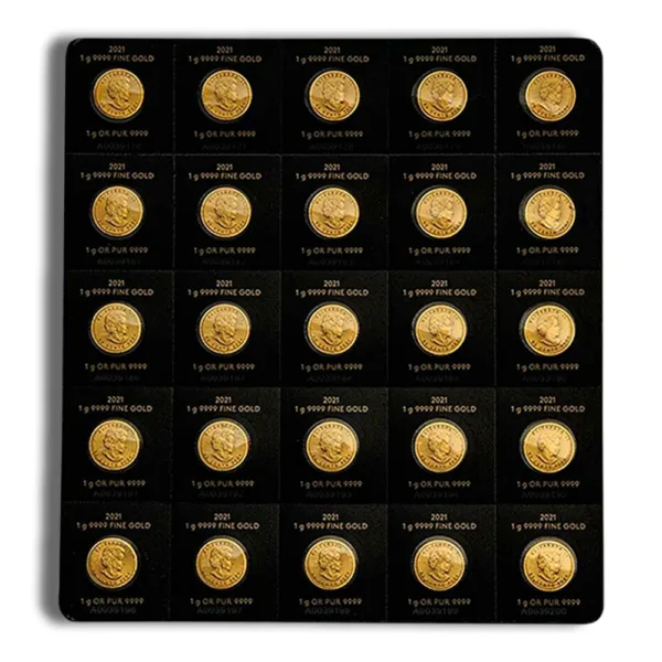 Collection of gold coins displayed in a grid format, featuring various designs and inscriptions, set against a black background.