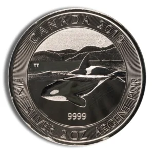2019 Canada fine silver coin featuring an orca design, 1 oz, with a purity mark of 9999. Ideal for collectors and investors.