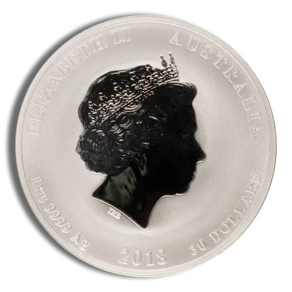 Silhouette of Queen Elizabeth II featured on a commemorative plate, showcasing intricate detailing and a crown design, set against a white background.