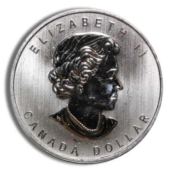 Canadian one dollar coin featuring a profile of Queen Elizabeth II, with the inscription "ELIZABETH II" and "CANADA DOLLAR."