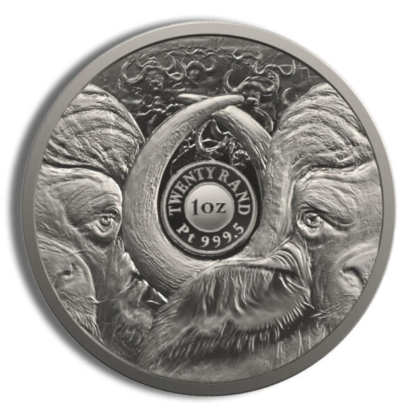 2023 1 oz Platinum South African Big 5 Buffalo Coin - Proof - Image 2