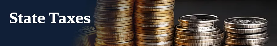 Stacked coins representing state taxes with the text "State Taxes" displayed prominently in an informative financial graphic.